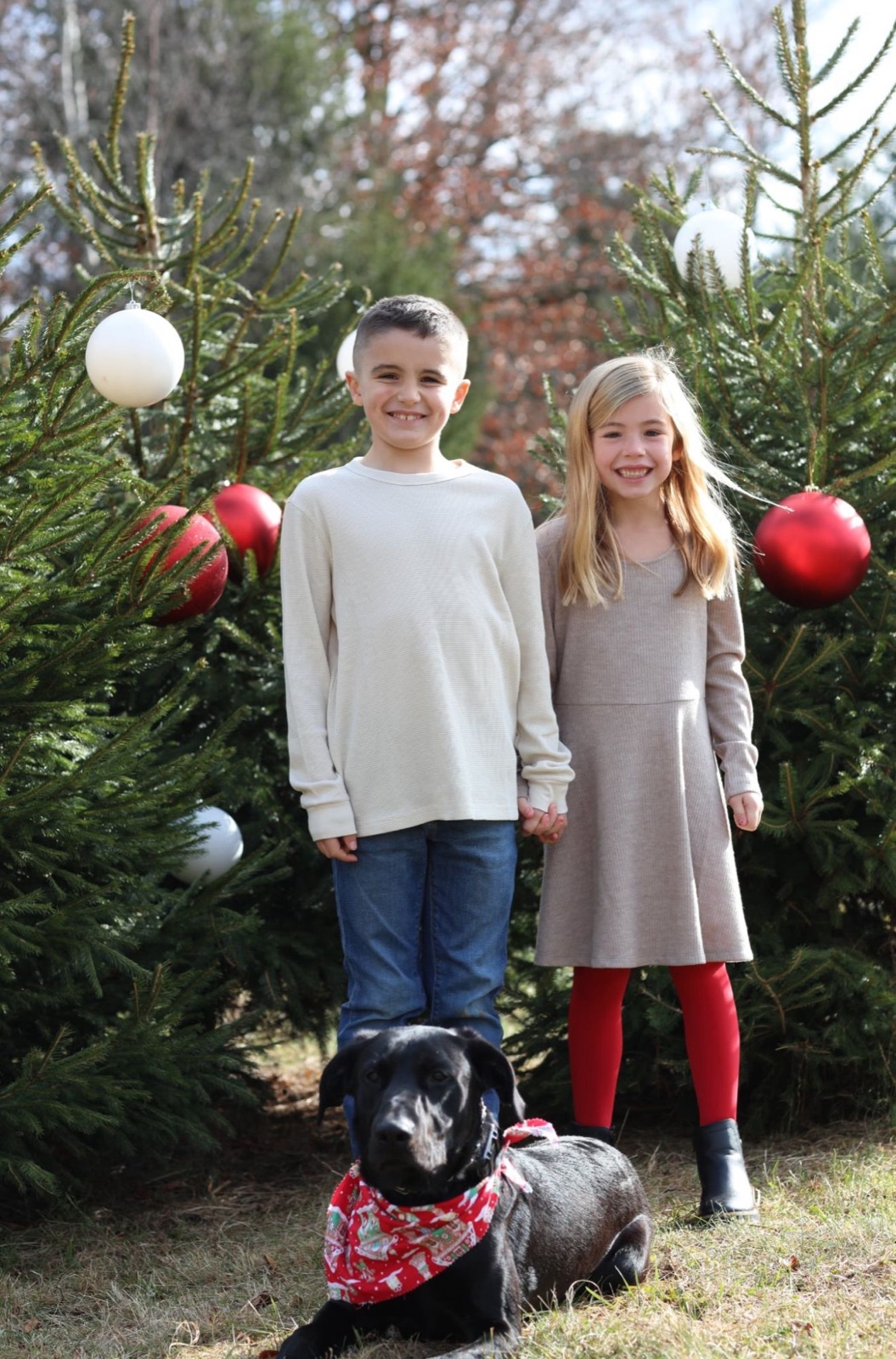 Smiling brother and sister holding hands among decorated Christmas trees with their black dog