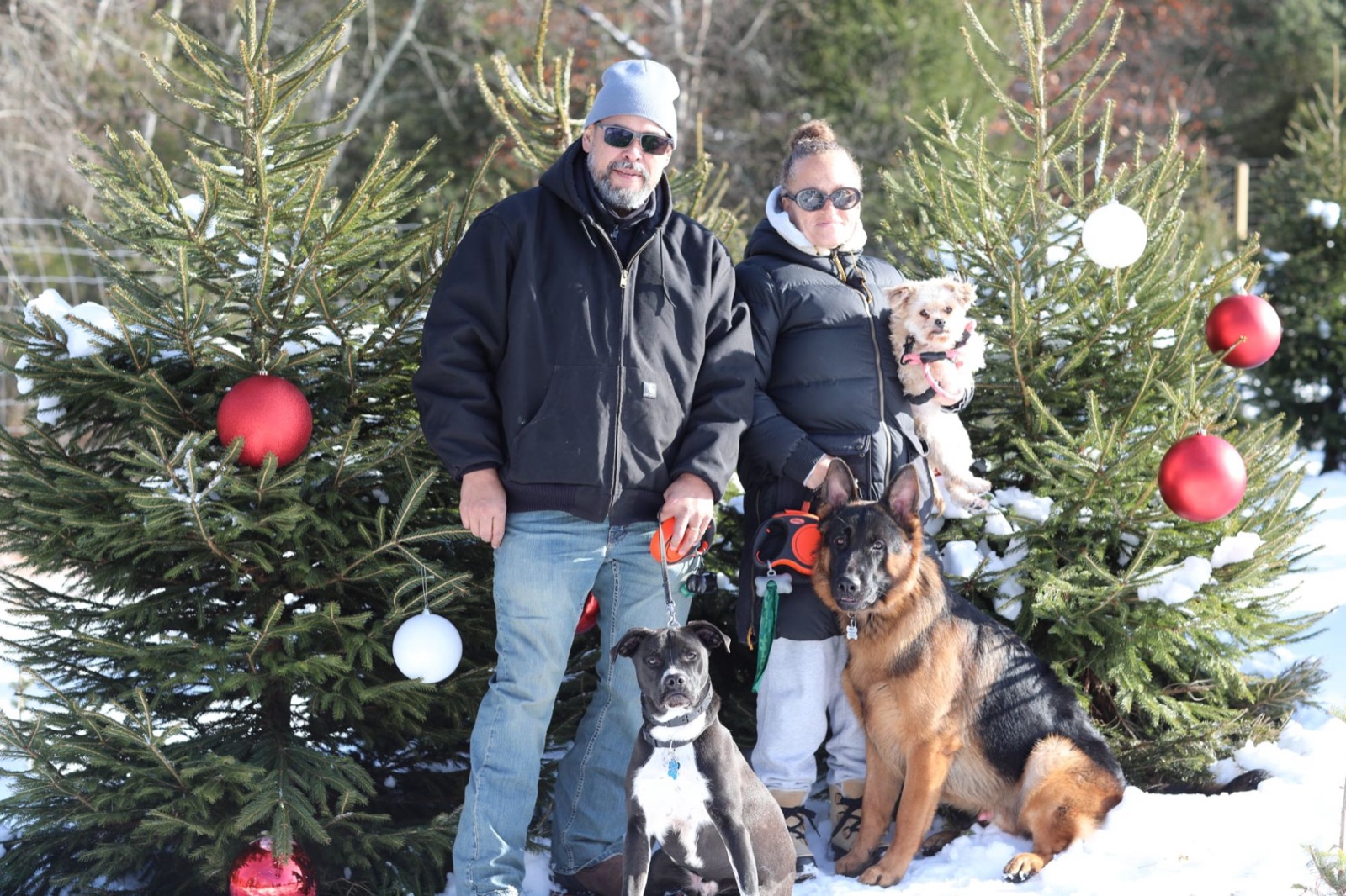 Couple with three dogs in front of decorated trees in the snow