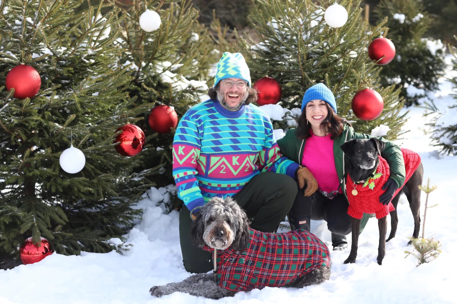 Couple with two dogs in sweaters among snowy decorated trees